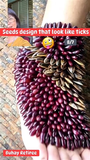 24K views · 40 reactions | This is only seeds design that look like ticks for content purposes #ticks #design #seeds #Amazing | Wylynda Ilagan | Facebook