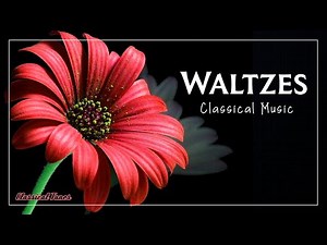 The Best Waltzes In Classical Music - Chopin Schubert Strauss Joplin Tchaikovsky