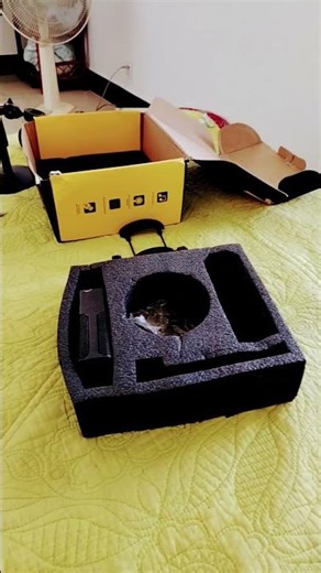 Sounds with room views ❤️ #guitar #adventure