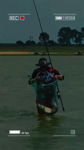 MONSTER Grass Carp caught at Flamingo Bay #fishing #carpfishing