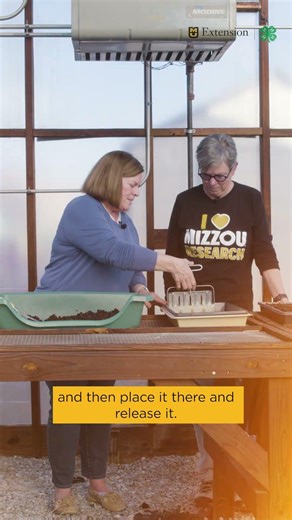 How to Make Soil Blocks for Seed Starting