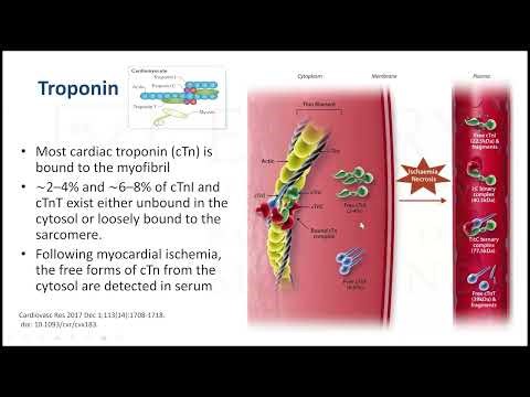 Biomarkers for Precision Care of Cardiovascular Diseases