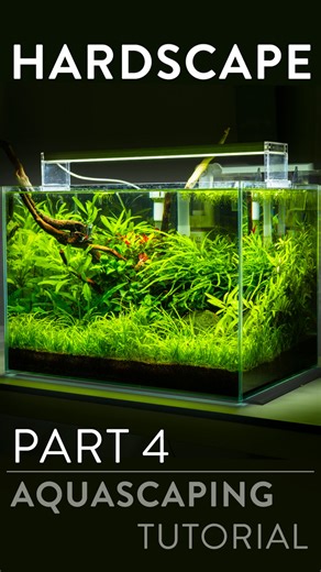 Creating Depth in Aquascaping with Hardscape Materials