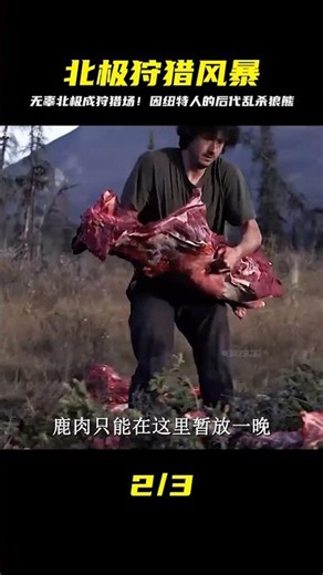 因紐特人后代荒野定居，無辜的北極成了他的狩獵場 #即錄觀世界 #紀錄片 #電影 #北極 #因紐特人