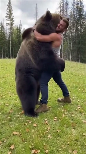 The World’s Biggest Bear Hug! 🐻❤️ (Wait for the Leap)