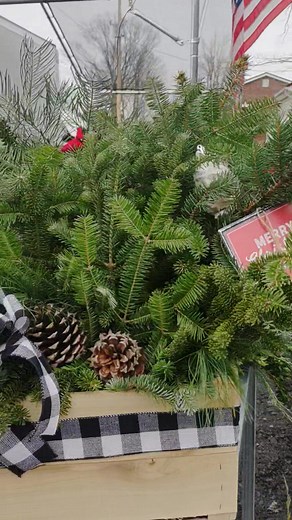 5.2K views · 87 reactions | Check out the evergreens at Poorman's Potting Shed! Very reasonably priced and many sizes and varieties! Also, fresh evergreen garlands in 25', 50' and 75' lengths! It's simply gorgeous! Open Fri, Sat, Mon & Wed 9-5 Sun & Thur 12-5, closed Tuesdays | Poorman's Potting Shed | Facebook