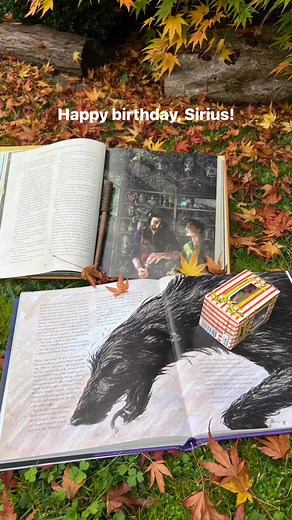 Padfoot, prisoner, godfather, rebel, and so much more to Harry Potter! Happy birthday, Sirius Black! 🖤🐺⚡️🍂🗺️🦁 Artwork by Jim Kay from the Harry Potter IllustratedEditions | Harry Potter Books from Bloomsbury