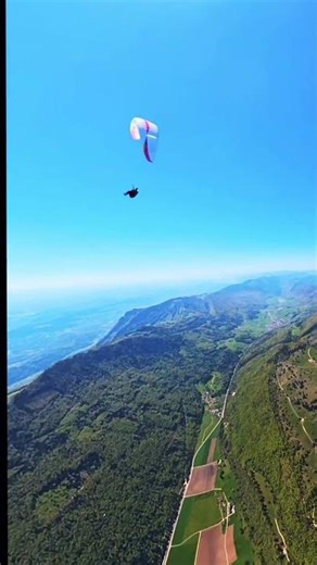 Random Mid-Air Encounter! 🦅 Paragliding 2,000m Altitude #Shorts #paragliding