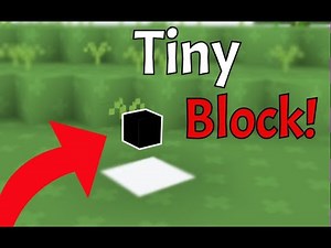 I Found, A Tiny Block in Bloxd.io!?