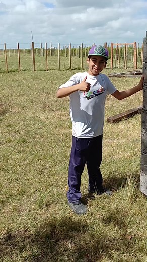 Wooden Fence Construction: Step-by-Step Guide