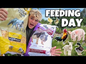 FEEDING ALL My FARM ANIMALS!!!
