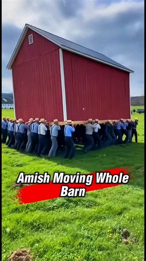Amish People Moving Barn !!! #amishtiktok #amishbuilt #fblifestyle #amishcountry #amishlife | Amish Talk
