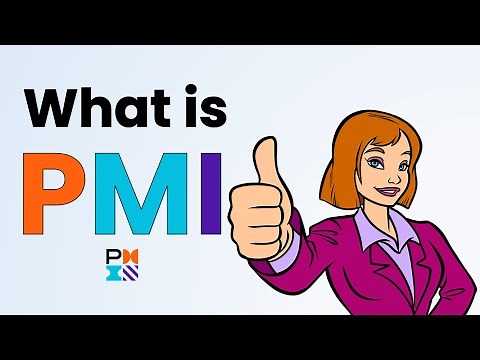 🤔What is PMI ?