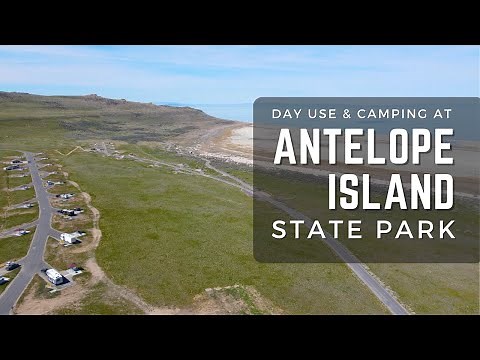 Antelope Island State Park, Utah: Complete Camping Guide