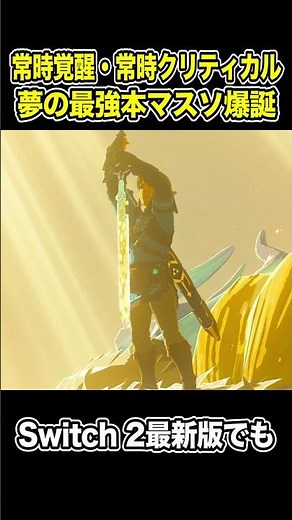 Break the Limit! The Ultimate Full-Spec Master Sword Is Born [The Legend of Zelda: Tears of the K...