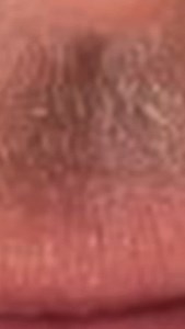 5.9K views · 14 reactions | ✨ New Episode Alert! ️ From designing...