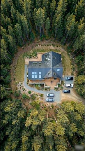 Forest Clearing to Timber Lodge | Full Construction Timelapse (Start to Finish)