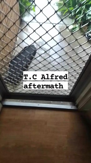 #queensland #wynnum #askanyaussie | Thomas Clark