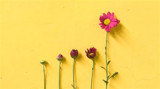 INSEAD Explains Sustainability: Corporate Social Responsibility