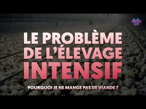 Les problèmes de l'élevage intensif
