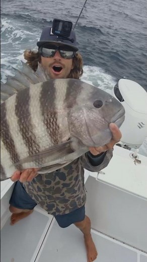 Catching the Biggest Sheepshead of my Life!