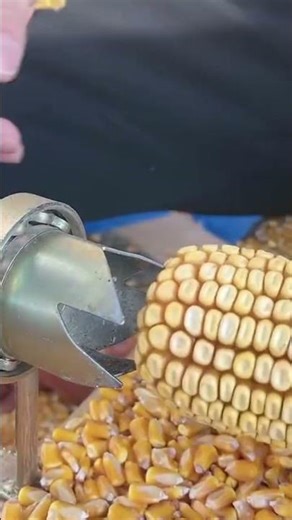This is a seed separator tool with a cob to make it faster