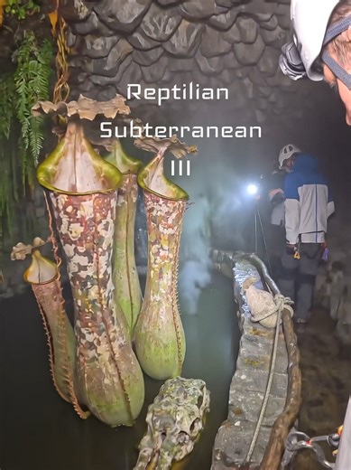 Reptilian Subterranean: Pushing the Boundaries of Alien Theories