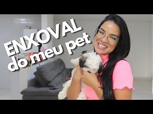 MORANDO SOZINHA VLOGS: compras pro meu pet e fazendo meu almoço