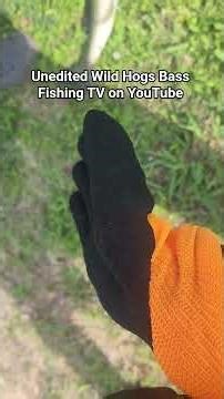 unedited Wild Hogs Bass Fishing TV on YouTube #fishing #bassfishing #bankfishing