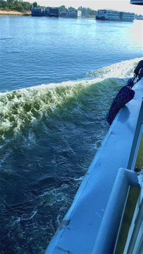 ‏جمال النيل بمصر #مصر #اكسبلورexplore #اكسبلور #المدينة_المنورة #نظارة