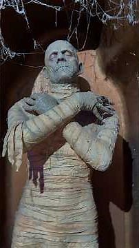 Revenge of the Mummy | Universal Studios Florida✨ #universalstudios #universalstudiosorlando