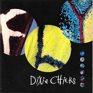 Dixie Chicks - Fly
