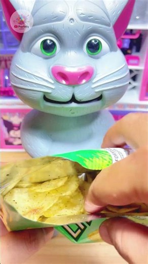 Popfinity ASMR | Grey Cat Wakes Up to a Seaweed Snack Surprise
