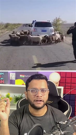 Why Chinese Farmers Graze Goats This Way #facts