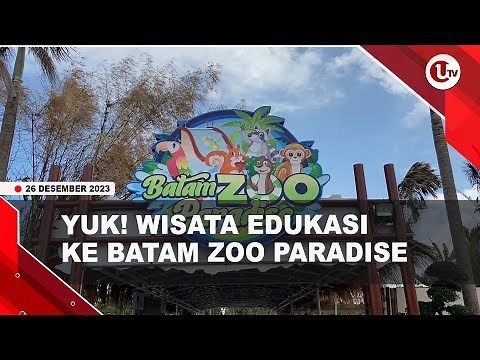 BATAM ZOO PARADISE, PENGUNJUNG DAPAT BERINTERAKSI DENGAN HEWAN | U-NEWS