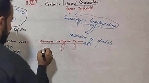 7.8K views · 426 reactions | #Thymus Part-2 #Structure_Of_Thymus #T_Lymphocytes_Selection_and_Maturation For All Lectures Contact us at 0333 9316906 | Up Teaching Academy | Facebook