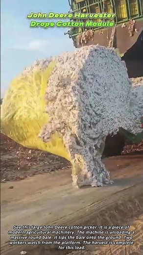 John Deere Harvester Drops Cotton Module