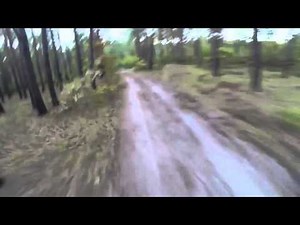 Cyclist gets chased by a bear