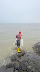 Tiga kali jala di tebar tiga macam juga ikan yang di dapat oleh om spiderman #jala #jalaikan #fishing #pelaut | Kusnadi Fishingchanel