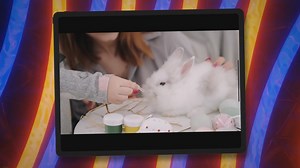 The Best Food for Your Pet Rabbit