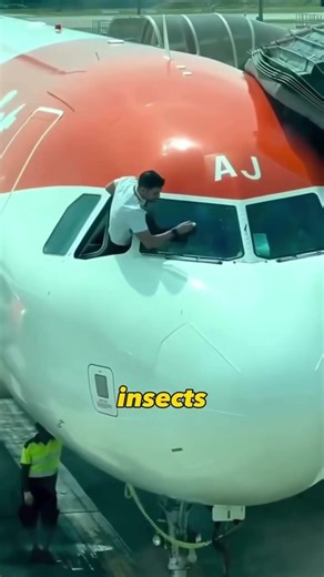 Pilots Have a Secret Window Nobody Tells You About ✈️