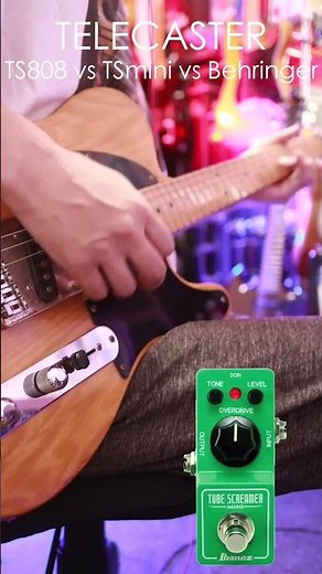 テレキャスター/TS808 vs TS MINI vs Behringer #ts808 #tsmini #behringer #guitarpedals #telecaster