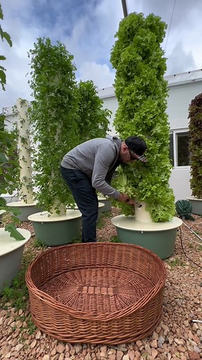 agrotonomy on TikTok