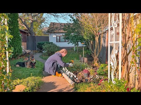 Escape into Cozy Countryside Living | Let’s Find Joy in Simple Days: Cottagecore Garden & Cooking