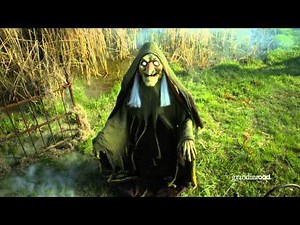 Swamp Hag Animated Figure