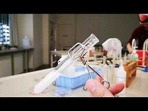 Acid-carbonate reaction + limewater test