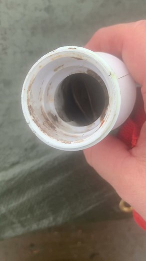 Hepvo waterless trap problems