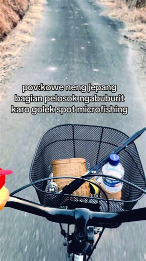 Strategi Umpan Wader Gacor Menggunakan Rasbora