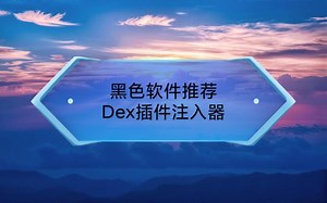 【黑色软件】Dex插件注入器