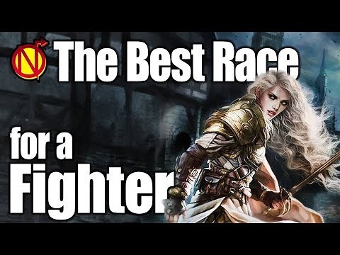 D&D Fighter- Best Race in 5th Edition Dungeons and Dragons